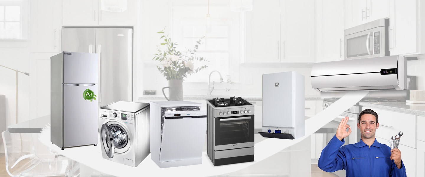 Akşehir Gaggenau Servisi